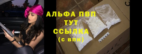 индика Лихославль