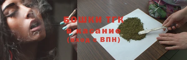 индика Лихославль