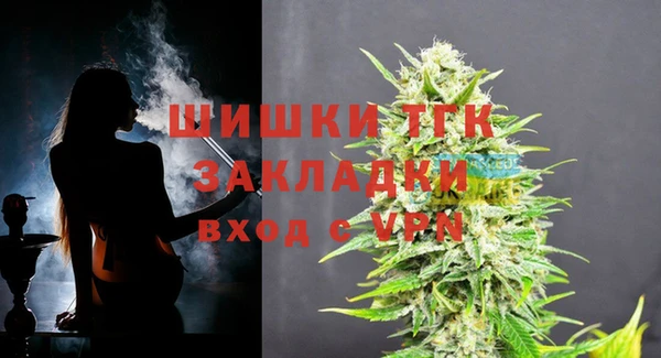 индика Лихославль