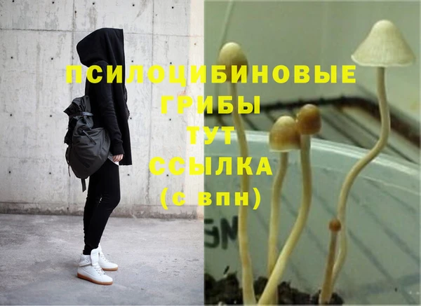 индика Лихославль
